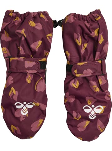 Hummel Handschuhe Hmlpop Lebensstil Mädchen in WINDSOR WINE