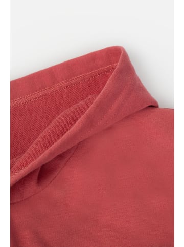 Coccodrillo Sweatshirt in dunkelrot