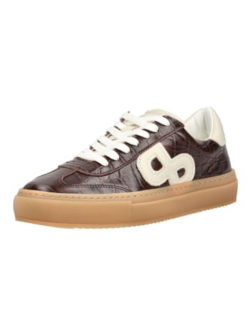 Pavement Sneaker KOHIA CROCO Braun/Weiß
