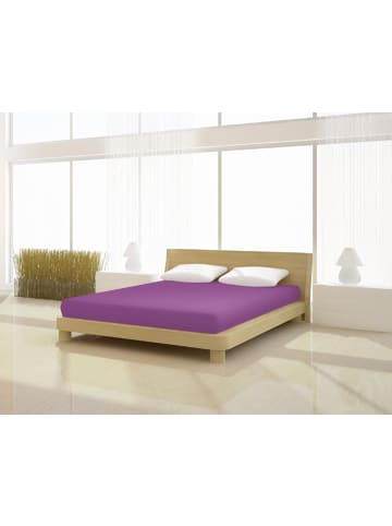 Mr.Sandman Spannbetttuch Elastan basic 90-100 x 200-220 cm in dunkel magenta