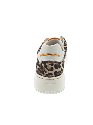 Gabor Low Sneaker in weiß