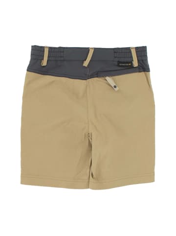 Jack Wolfskin Hose Dillon Flex Shorts in Braun