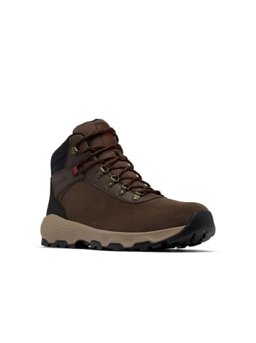 Columbia Botas Newton in Braun