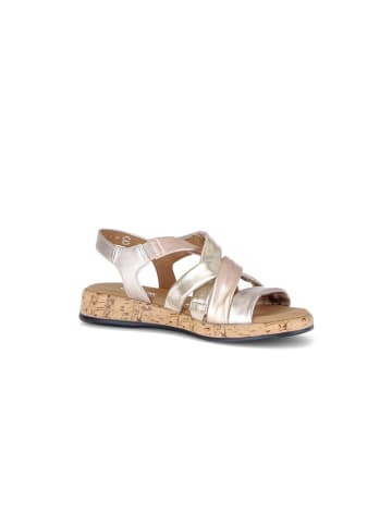 Gabor Riemchensandalen in multicolour