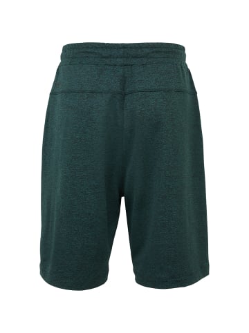 Venice Beach Short Nash 4042 in Hellblau351