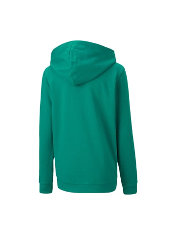 Puma Sweatshirt teamGOAL 23 Casuals Hooded Jacket Jr  in grün