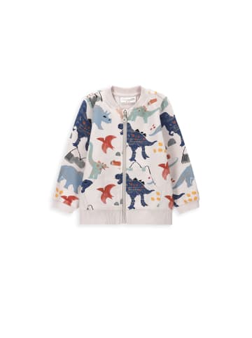 Coccodrillo Sweatshirt mit Reißverschluss in grau