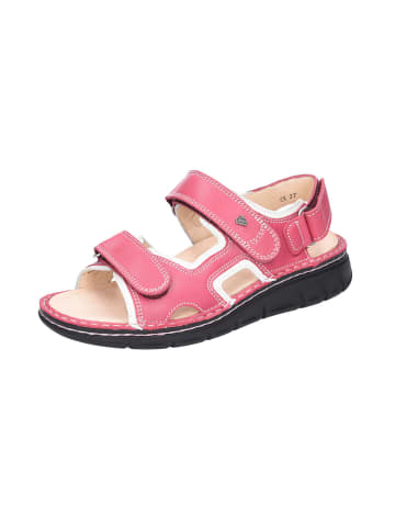 Finn Comfort Outdoorsandalen WANAKA in Azaleo