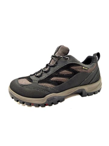 Ecco Outdoorschuh in grau