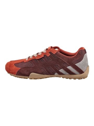 Geox Sneaker SNAKE in Rot