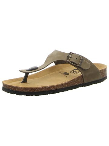 Plakton Zehentrenner in khaki