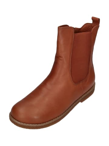 Andrea Conti Stiefeletten 0022848-1136 in braun