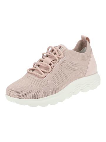 Geox Sneaker in Rose