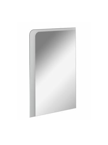 Fackelmann LED Spiegel MILANO 55 in transparent-55(B)x80(H)x3(T)cm