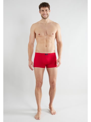 Tom Tailor Hip Pants 3Er Pack Colorado in melange-red-navy