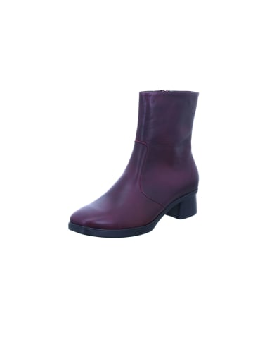 Hartjes Stiefelette BLUES in aubergine