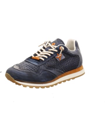 Cetti Sneaker in blau