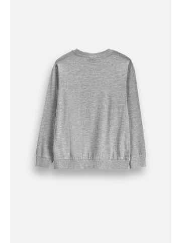 Langarmshirt in grau