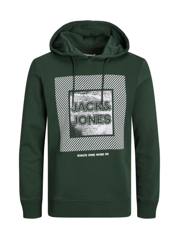 Jack & Jones Hoodie 'Stein' in dunkelgrün