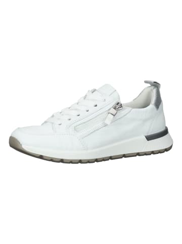 ara Sneaker in Weiß/Silber