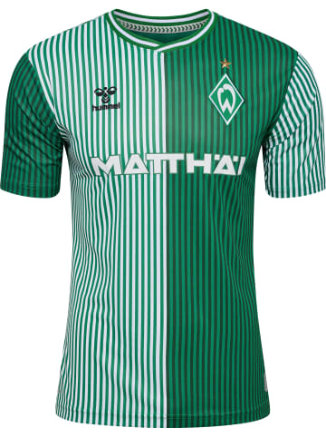 Hummel Hummel T-Shirt Wer 23/24 Fußball Erwachsene Atmungsaktiv Schnelltrocknend in EDEN