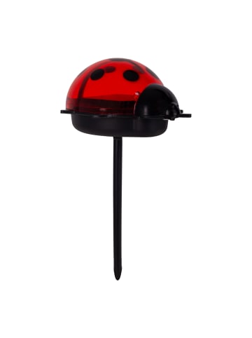 näve LED Solarleuchte "LADYBUG" in bunt - (L)7.8 cm x (B)6 cm x (H)14.2 cm