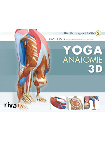 riva Yoga-Anatomie 3D 02. Die Haltungen