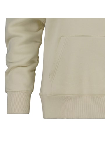 Gant Sweatshirt in Beige