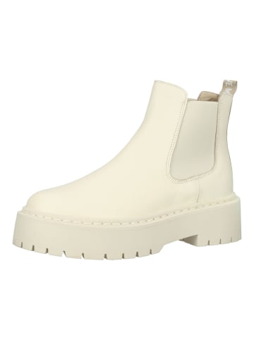 Steve Madden Stiefelette in Bone