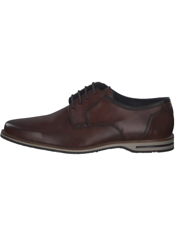 LLOYD Business-Schnürschuhe in 3 - BRANDY/MARINE