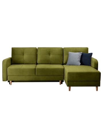 MF Design Roxana in Moos -  (L) 165 x (B) 240 x (H) 90 cm