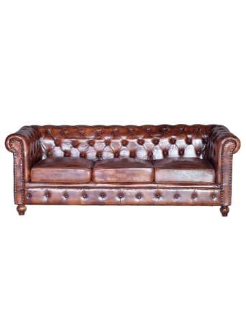 Giner y Colomer Sofa aus Kuhleder in Brown