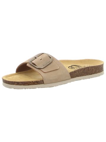 Plakton Klassische Pantolette in beige