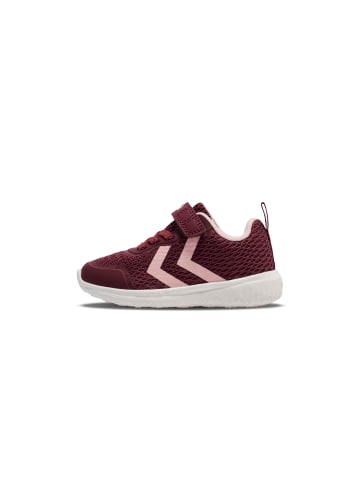 Hummel Hummel Klettverschluss Sneaker Actus Ml Lebensstil Kinder in VINEYARD WINE