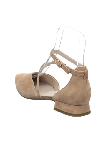 Paul Green Ballerinas in Beige