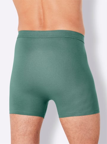 Comte Pants in salbei