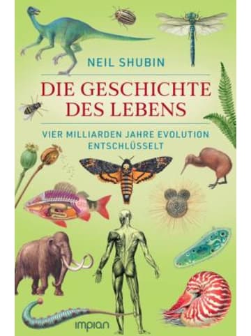 Impian GmbH Buch - Die Geschichte des Lebens
