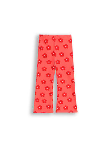 Coccodrillo Leggings mit langem Hosenbein in korallenrot