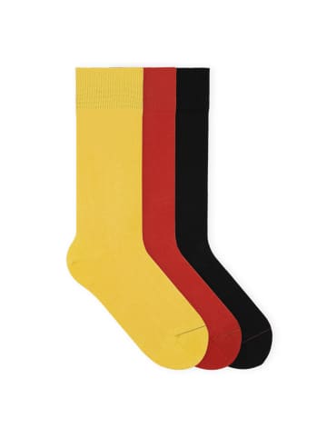 von Jungfeld Classic Socken-Set Signature Innenbund in Dawn