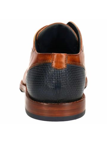 Bugatti Sneaker in braun