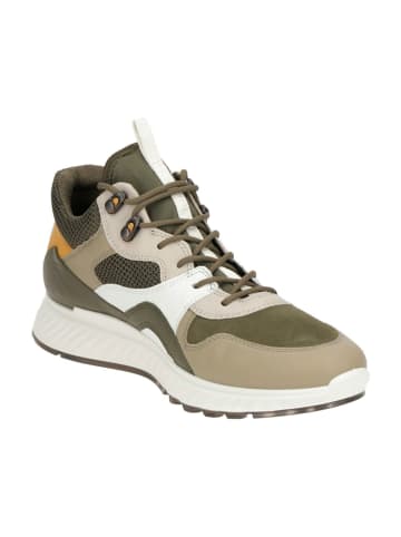 Ecco Sneaker Low in Grün