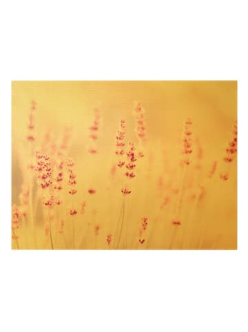 WALLART Leinwandbild Gold - Zartrosaner Lavendel in Rosa