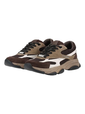 Steve Madden Sneaker FRONT ROW in Multi