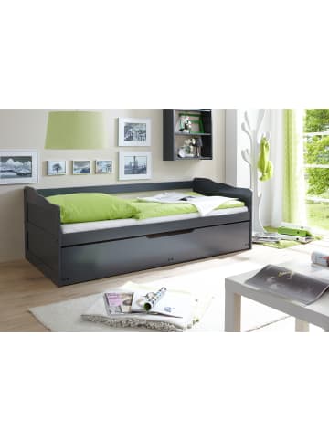 TICAA Sofabett Marianne in Grau