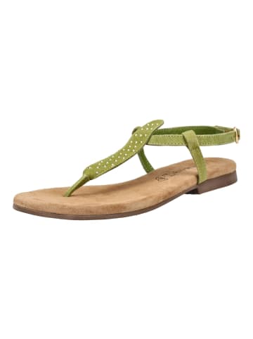 Lazamani Zehensteg MINU T-STRAP Grün