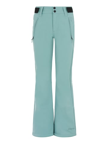 Protest " LOLE JR in Crocodile Green