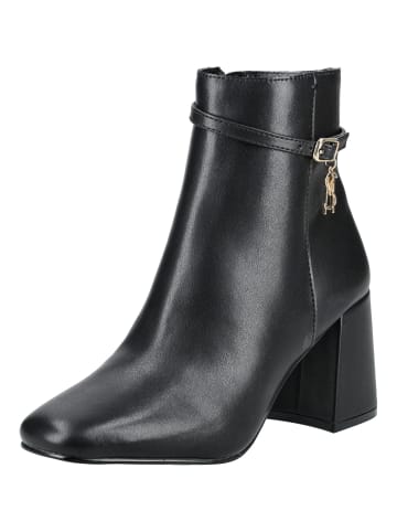 Steve Madden Stiefelette in Schwarz