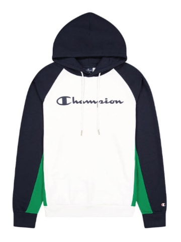 Champion Hoodie Hooded Sweatshirt in Multicolor