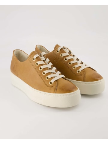 Paul Green Sneaker low in Braun