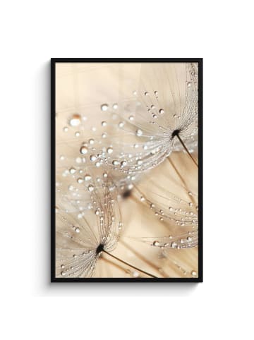 MuchoWow Poster mit Leiste Tropfen  (BxH)